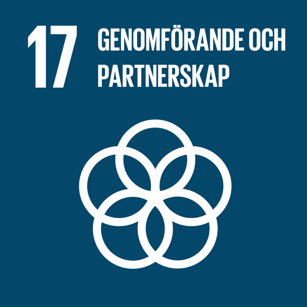 Genomföramde och partnerskap